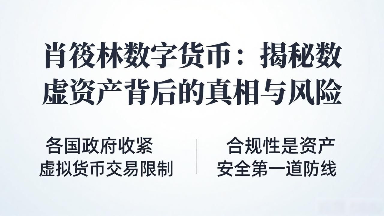 肖筱林数字货币：揭秘虚拟资产背后的真相与风险